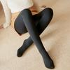 Bare Legs Socks Goddess Female Fall Winter One-piece Pants Padded and Thickened Imitation Nylon Bottoming Pants Warm Pants for Outside Wear Pantyhose