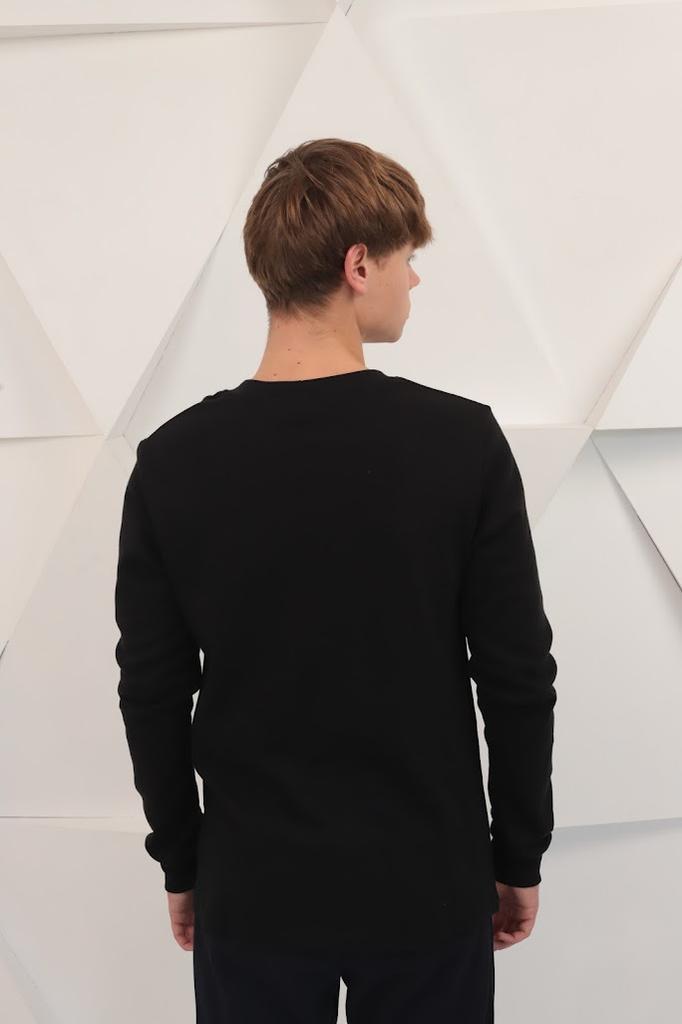 Пуловер (Мужской) Любой сезон 8631-015 HC