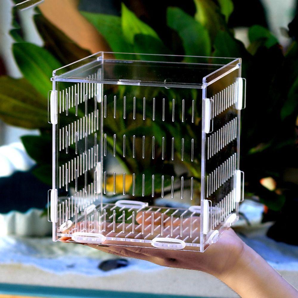 Для мальков аквариумные принадлежности инкубатор инкубатор ящик для разведения рыб ящик для разделения рыб