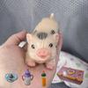 5-дюймовая силиконовая игрушка-кукла-поросенок, мини-мягкая реалистичная силиконовая кукла-поросенок, силиконовый поросенок Реборн с аксессуарами для детского подарка на Рождество