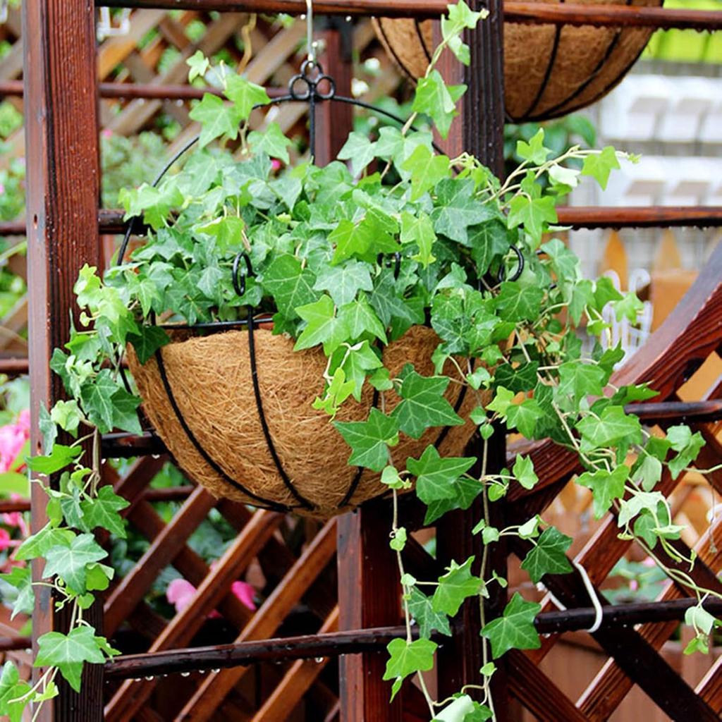 210323YF17-10040-1606030611 2Pcs Metal Wall Hanging Planter Basket with Coco Liner Half Round Wire Plant Holder Flower Pots Hanger for Indoor Outdoor