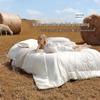 Mercury Lux Australian Wool Quilt & Antibacterial Pillow Set
