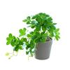 Artificial Spider Plant Artificial Bonsai Plant Fake Plant Decorative Potted Plant  Table Decor