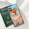 Pomeranian Dogs Dog Colorful Case For Oppo A58 A78 A98 A15 A16 A17 A52 A72 A76 A96 A54 A74 A94 A57 A77 A54S A57S Cover