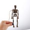 Sketch Skeleton Decoration Skeleton Model Skeleton Ornament Simulation Skeleton Human Anatomical