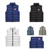 Модный мужской и женский пуховый жилет Bright Goose 2025 - Осень/Зима