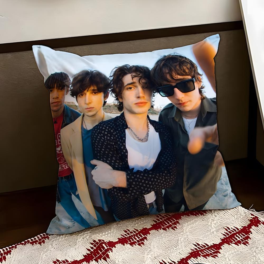IInhaler Band Cushion Cover Reversible Soft Durable Pillow Cover Home  Car MultiScene Use for Daily Comfort