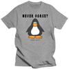 Club Penguin Никогда не забудь футболку club penguin club penguin никогда не забудь закрытие мем clubpenguin онлайн интернет игра