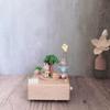 Handmade Wooden Rotating Music Box - Creative Christmas Gift, Desktop Decorative Craft with Musical Mechanism