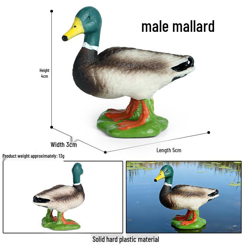 Children's Cognitive Rodent Simulation Toy: Chipmunk, Marmot, Squirrel, Guinea Pig Models