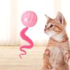 Кошачьи прыгающие гусеницы, питомцы, мячи, которые нельзя прокусить, интерактивные и прочные резиновые мячи для бросания, мячи с отверстиями и игрушки-прыгуны
