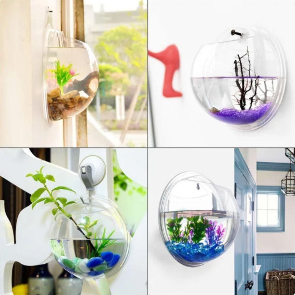 Акриловый настенный аквариум полусферической формы, подвесной аквариум для петушков, украшение для офиса