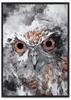 Owl Abstract Poster In Black Frame