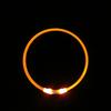 LED Dog Collar Light USB Rechargeable Glow Pet Dog Collar For Night Security