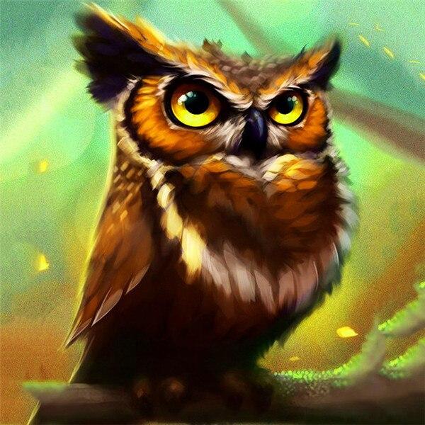 50X50CM Diy Алмазная картина Сова 5D Алмазная мозаика Распродажа Мультфильм Фотографии Стразами Вышивка Декор для дома