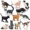 EYSCOTA CAT Фигурка животного Пластиковый набор животных для детей Набор, 12 штук