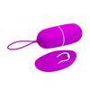 Arvin Purple Vibrating Egg