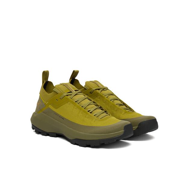 Треккинговые ботинки Arc'teryx Verte Alpine Gtx Gore-Tex