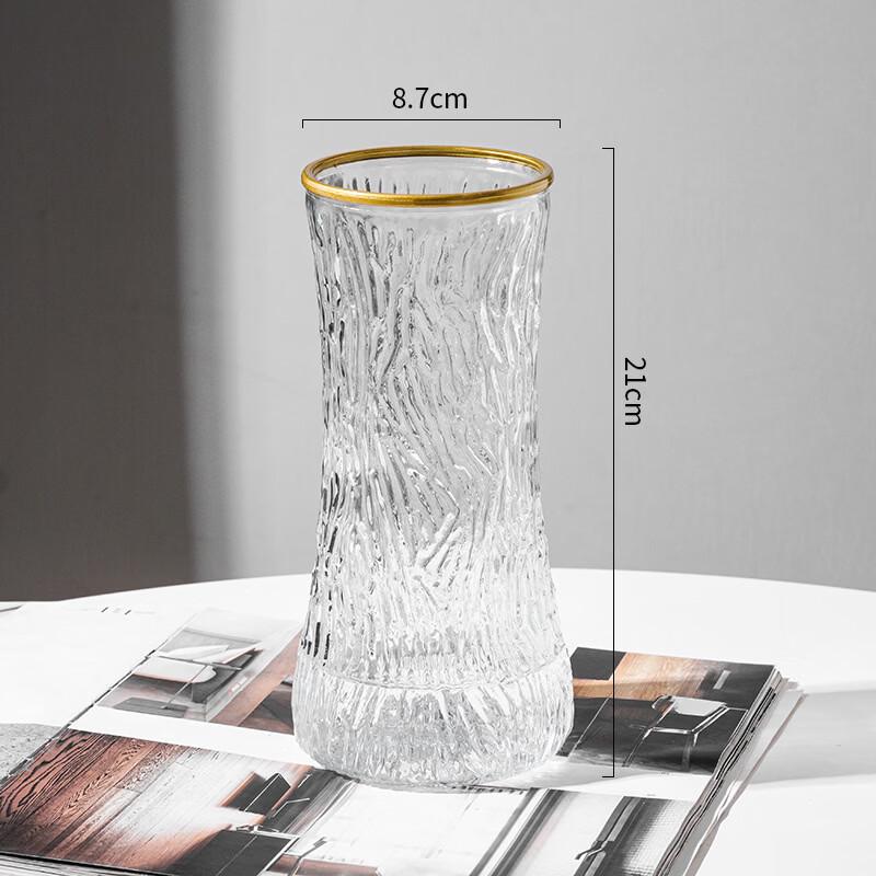 Lilang Gilded Transparent Hydroponic Glass Vase