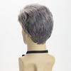European and American Men's Fashion Daily Use Natural Looking Side Part Synthetic Fiber Silver Gray Short Curly Wig