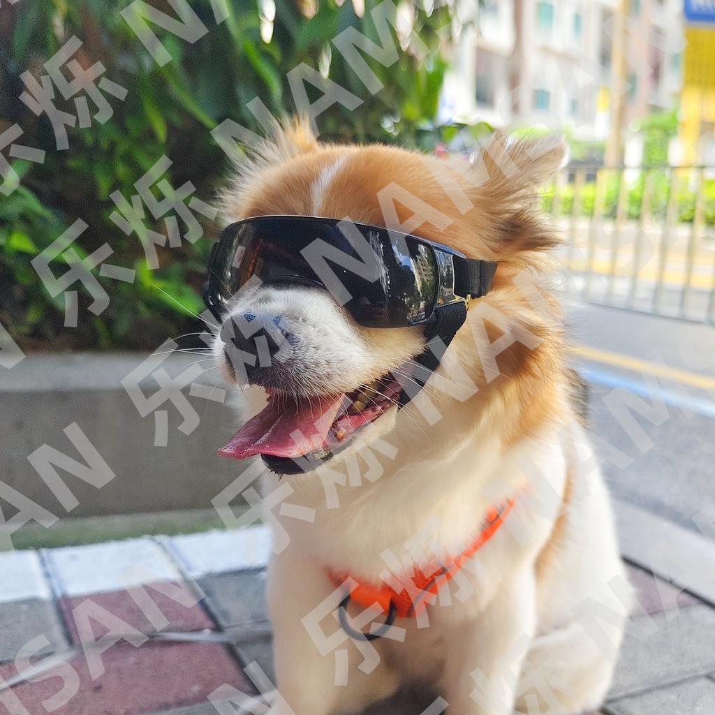 New Design Dog Sunglasses Pet Goggles Dog Glasses UV Protection for Eye Windproof Outdoor