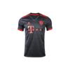 FCB Third Jersey With Letter Logo And Embroidered Bayern Munich Crest Men Sportswear Tops Night-Sky-Grey H39907