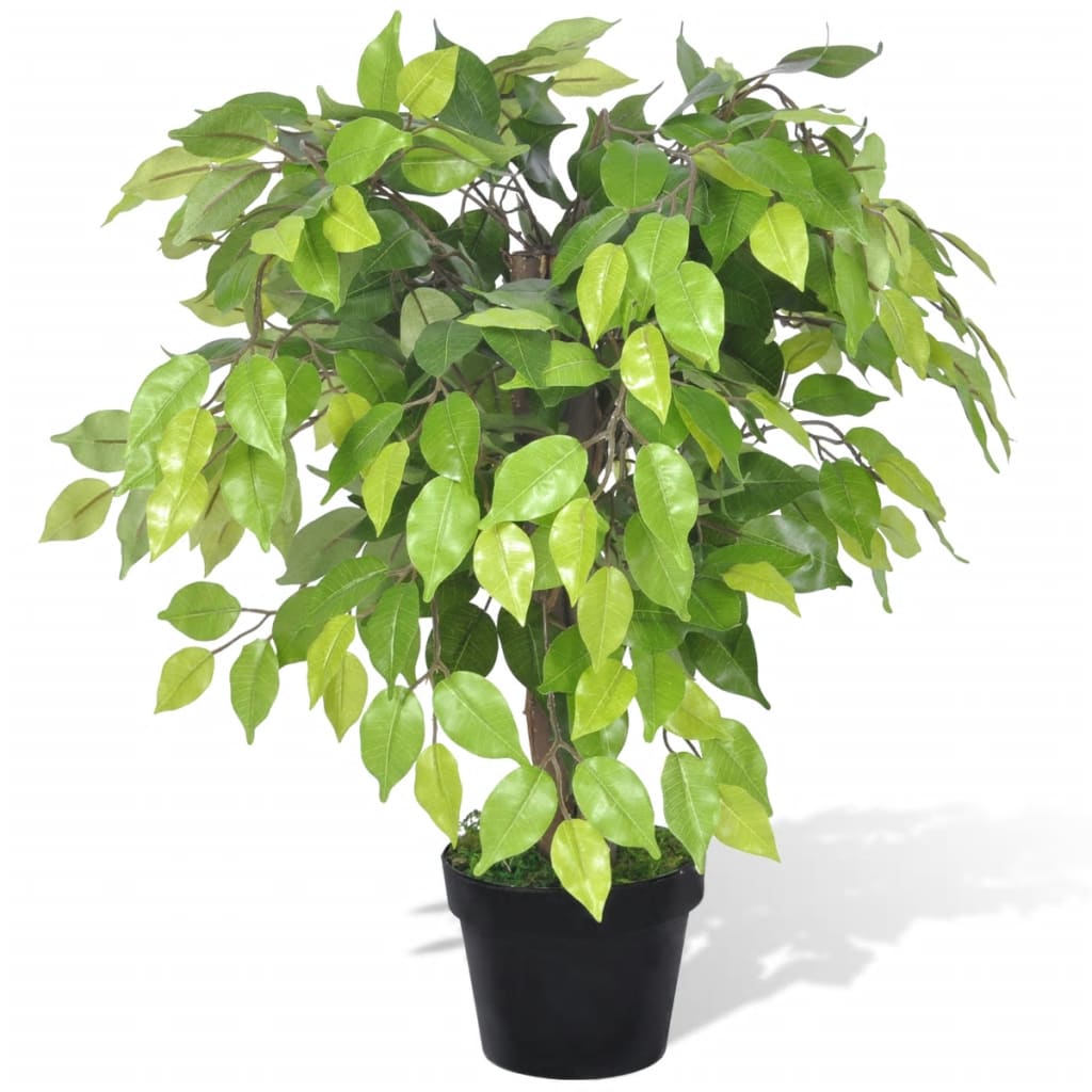 Artificial dwarf Ficus with pot 60 cm