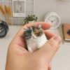 Набор для валяния из шерсти кошки, не законченный, ручная работа, DIY, сумка с материалами, подарок