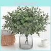 Eucalyptus Plant Globulus Foliage For Home Enhancement Prop Photography
