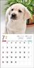 Календарь 2024 Лабрадор Ретривер (Календарь Seibundo Shinkosha)