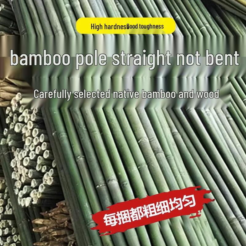 Бамбуковая садовая решетка: Вьющаяся конструкция из огурцов, помидоров и зеленой фасоли