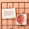 62KD Metal Wire Panel Memo Board Photo Picture Display Shelf Rack Wall