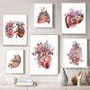 Modern Decoration Canvas Painting Anatomy Medical Floral Organs Heart Lung Poster And Prints Wall Pictures For Doctors Office