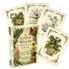 10.4*7.3 Cm The Green Witch's Oracle Deck Embrace The Wisdom and Insight of Natural Magic 50 Pcs Cards