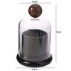 Plastic Dental Floss Case Clear Dome Lid Toothpick Storage Box Cotton Swab Jar  Living Room