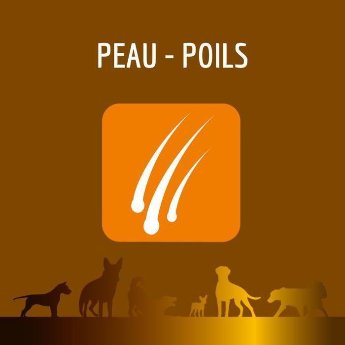 Complément Alimentaire - Vétérimed - Peau-Poils - 30 Comprimés - Fabriqué en France - Chien