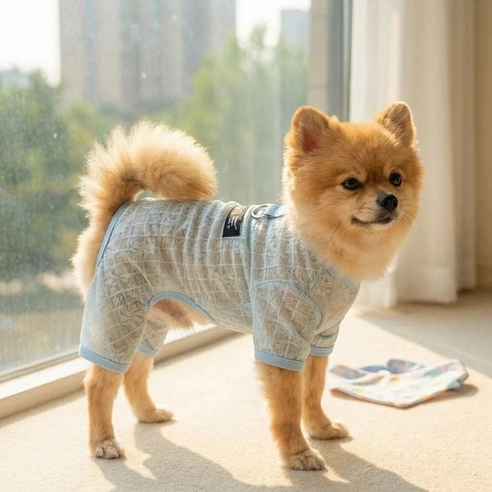 Hollow Mesh Dog Clothes Breathable Dog Outfit Pet Four-legged Wear Indoor Outdoor Use