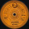 7-дюймовая пластинка BIG YOUTH  Whats Going On  Ten Against One TRO7988 Trojan Records 1976 UK Регги Ска  Даб Б/У