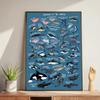 Whale and Shark Seashells Turtles Octopus Fish Marine Life Ocean Animals Poster and Print Canvas Painting  Wall Art Home Living Room
