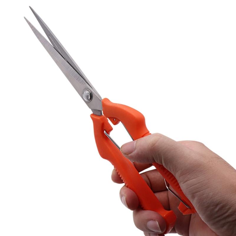 Овощная обрезка Обрезка фруктов Садовые ножницы Легкие Цветочные ножницы Для легкой работы Детальный уход за растениями