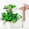 Sturdy Plant Support Stakes 30/40/50cm Coir Totem Poles Practical Moss Sticks  Potted Plants