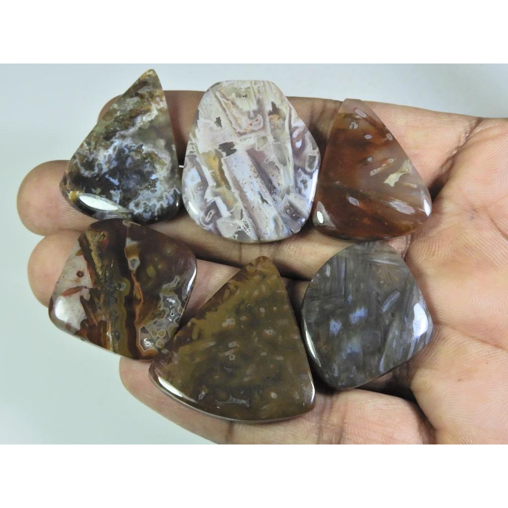 204Cts. Natural Tree Moos Agate Fancy Shape Cabochon Loose Gemstone 6Pcs Lot C-328