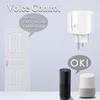 Умная WiFi-розетка 20A EU с мониторингом мощности, интеллектуальным управлением сценой, пультом дистанционного управления, работает с Alexa Google Home Alice
