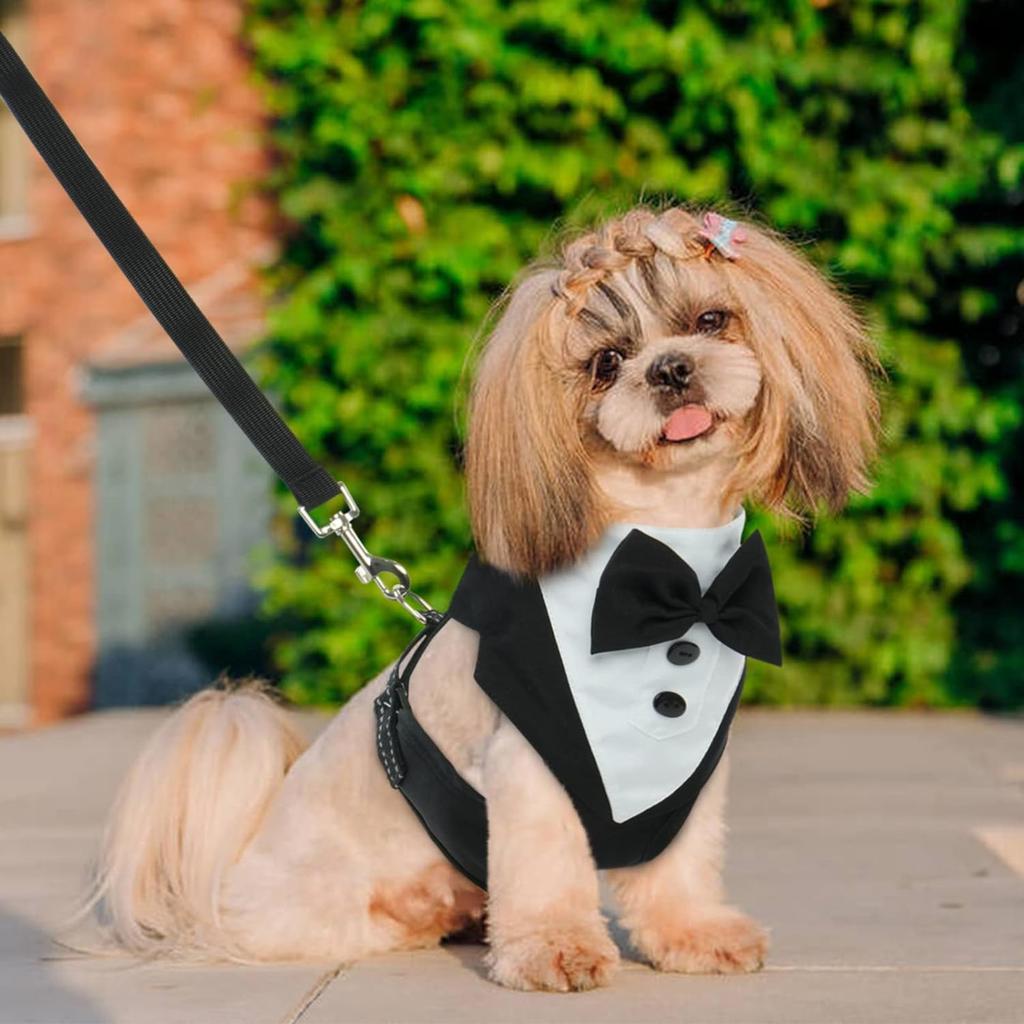 Смокинг-шлейка для собаки Помолвка День рождения День святого Валентина Свадебный костюм Регулируемый галстук-бабочка Шлейка-жилетка для домашних животных для маленьких и средних собак