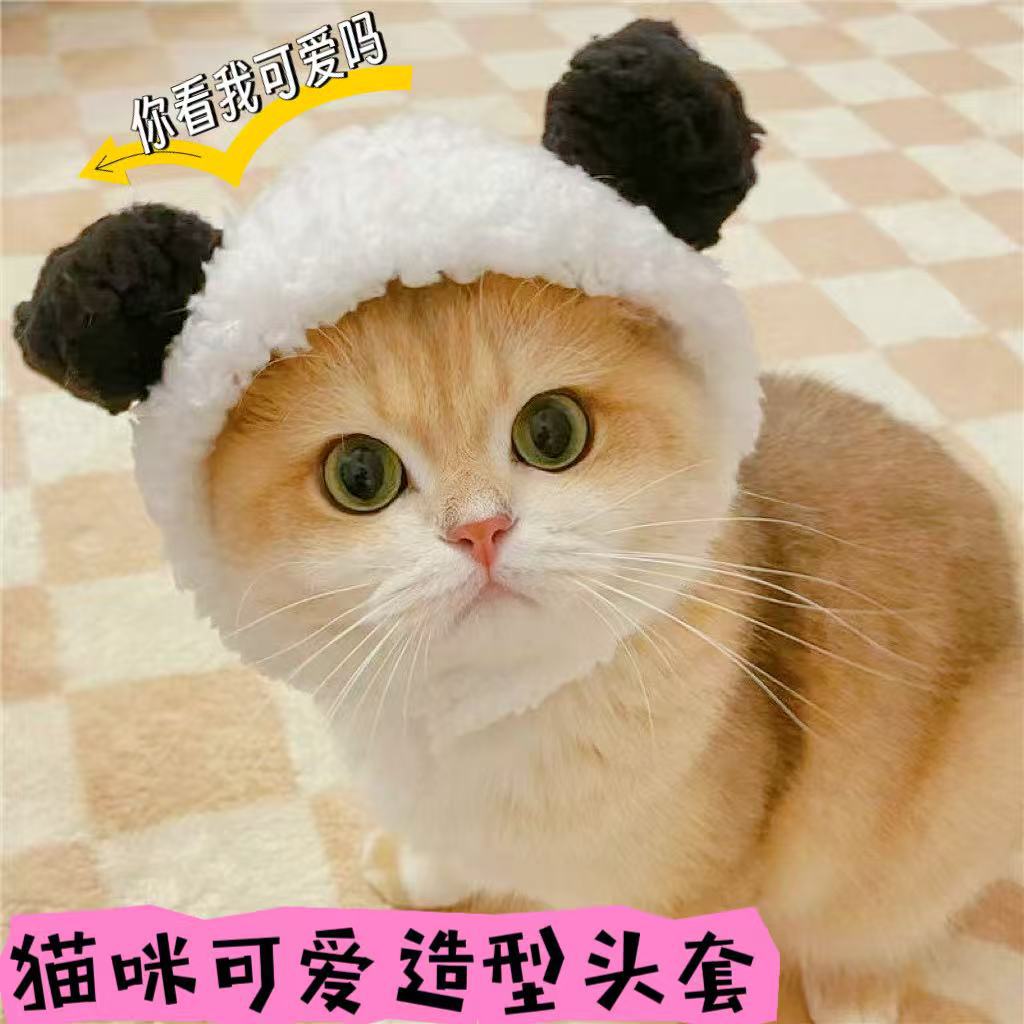 Four Seasons Pet Hat Bear Plush Headgear British Shorthair Cute Ears Cat Small Dog Funny Headwear Photo