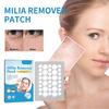 Fat-Granule Patch, Removing Facial Oil Granules, Subcutaneous Lumps, Sweat Tube Granule Repair-Flat Patch