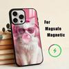 D-Забавные животные Чехол для телефона Для iPhone 17, 16, 15, 14, 13, 12, 11 Plus, Pro Магнитный Для Magsafe Беспроводная зарядка