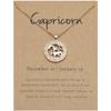 12 Zodiac Signs 3D Image Pendant Necklace Ins In Stock Zodiac Card Collarbone Chain