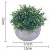 Моделирование Растений Растение в Горшке Офисное Украшение Рабочего Стола Зеленое Растение Орнамент Растение в Горшке Травяной Шар Милан Зеленое Растение Эвкалипт