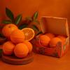Vitamin C Bath Bombs Aromatherapy Set of 4